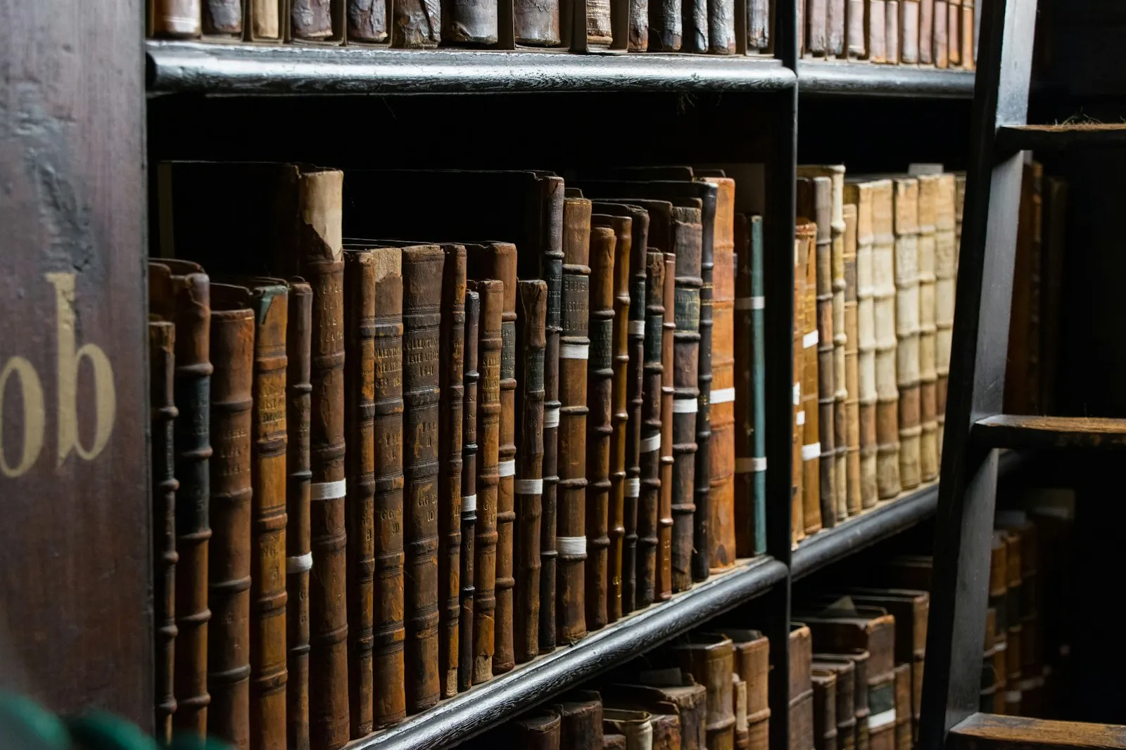 Shelves of bound law books in a library